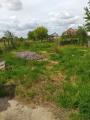Kuća - Baranja - Bilje, Košut Lajoša