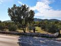 Vodice - cesta - Put Gaćeleza - Plac sa maslinikom